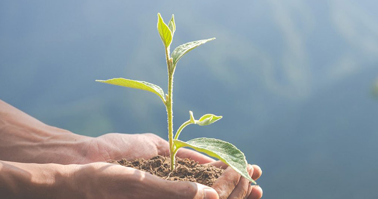 Responsabilidade Ambiental